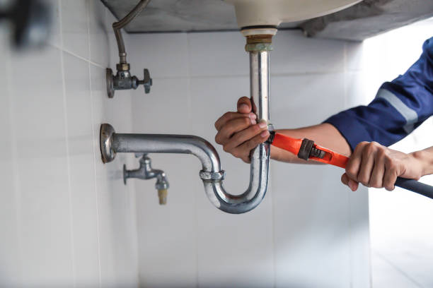Best Commercial Plumbing Services  in Plainfield, IL
